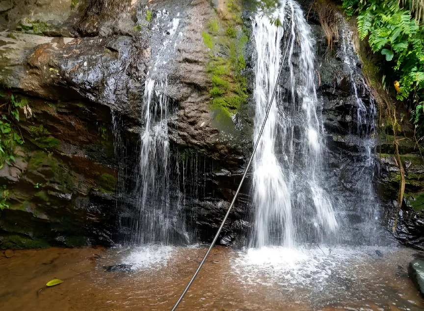 Cascada cayendo sobre roca cubierta de musgo, con helechos alrededor