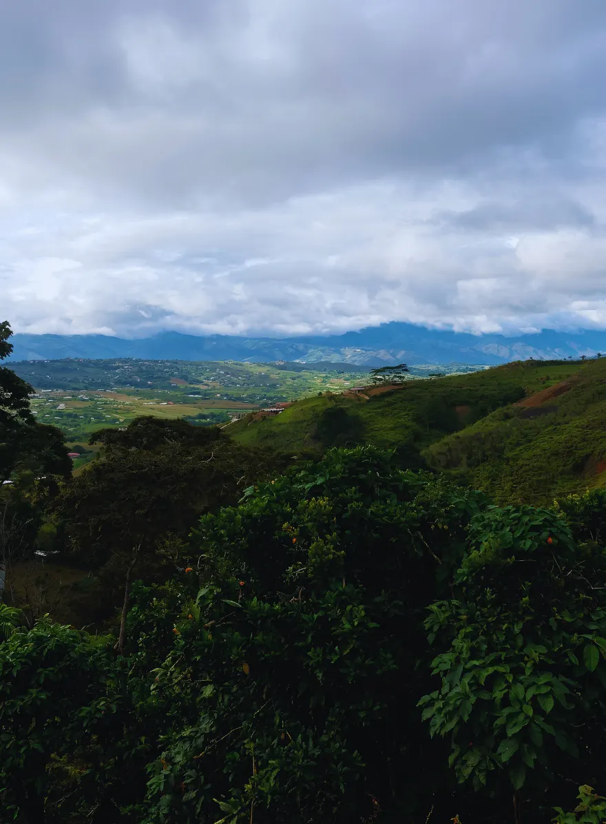 Vista abierta al valle y a las montañas desde la finca, con nubes bajas al fondo